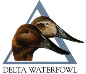 Delta-Waterfowl Delta Waterfowl