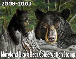 Maryland Black Bear Conservation Stamp Design Contest