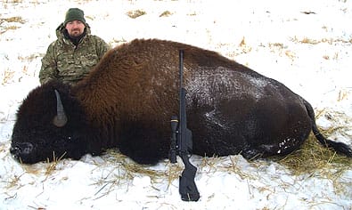 Bison taken with Steyr SSG 04 .300 Win. Mag. Chris Bouse, Delta Junction, Alaska, November