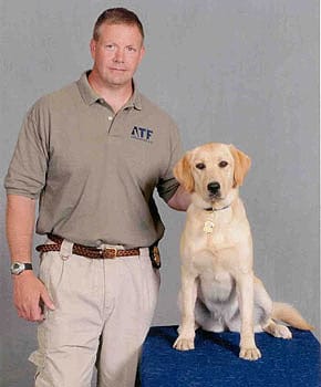 Dolly and Senior Special Agent Canine Handler Gerry O’Sullivan
