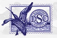 National Duck Stamp Collectors Society