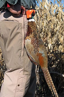 Carson Optical Pholster Game Bird Carrier