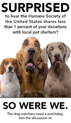 HSUS Gives Less than 1% of Donations to Pet Shelters