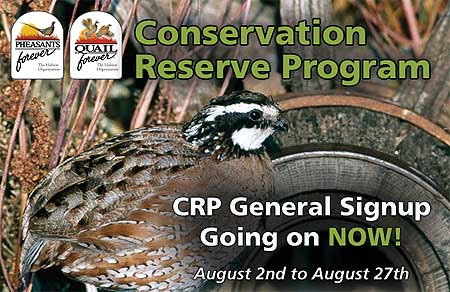 Conservation Reserve Program