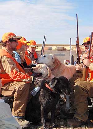 South Dakota Pheasant Hunt