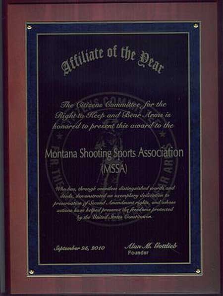 MSSA Affiliate of the Year Award