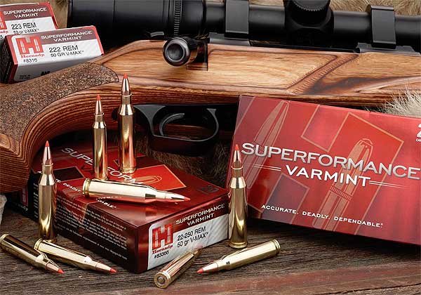 Hornady Superformance Varmint Ammunition