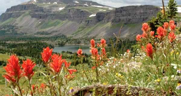 Colorado Roadless Lands