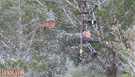 Cedar Creek Camo Bowhunter