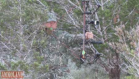 Cedar Creek Camo Bowhunter