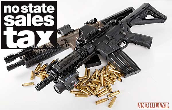 no gun sales tax