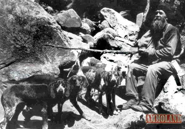 Ben Lilly and Coonhounds 1910s