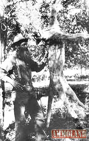 Ben Lilly Around 1915 with Dead Cougar