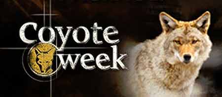 Coyote Week