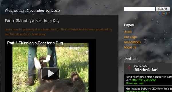 Diizche Safari Adventures Blog
