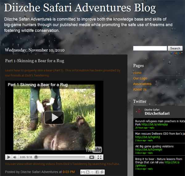 Diizche Safari Adventures Blog