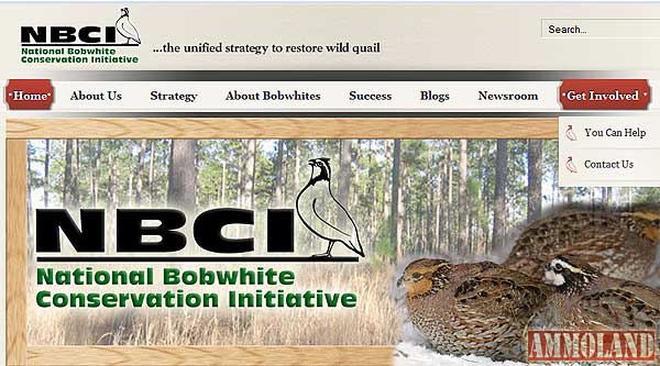 National-Bobwhite-Conservation-Initiative-Website National Bobwhite Conservation Initiative New Website