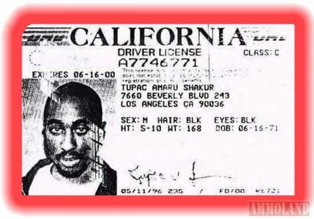 Tupac Red Light DRLC