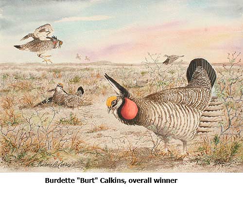 Burdette “Burt” Calkins’ Watercolor Painting Of Booming, Fighting And Flying Prairie Chickens