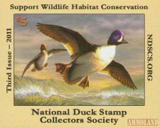 Duck Stamps & Decoys