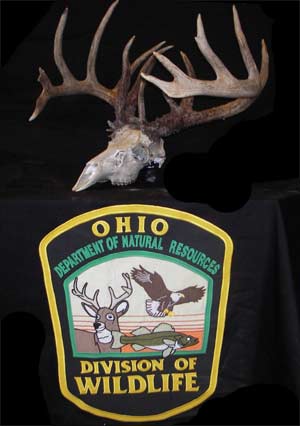 Man Pleads Guilty to Poaching $23,000+ Trophy Buck