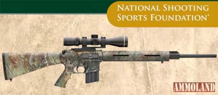 Modern Sporting Rifle