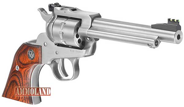 Ruger Single-Ten Revolver