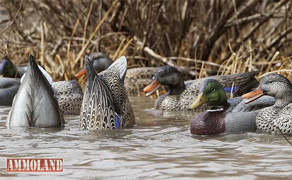 Final-Approach-Mallard-Floating-Feeder-Decoys Final Approach Mallard Floating Feeder Decoys