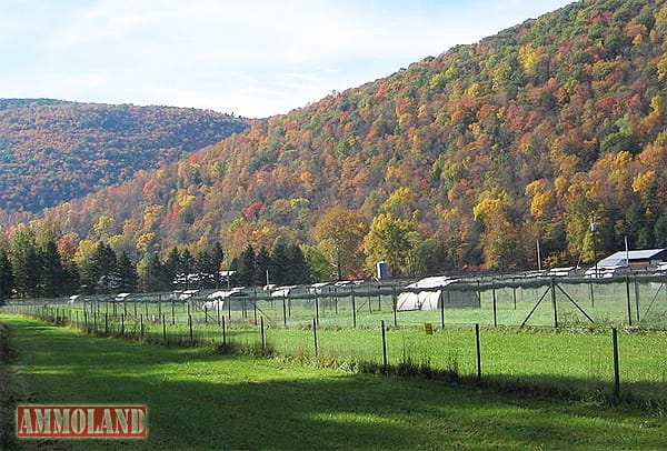 Loyalsock Game Farm Pa