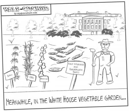 Meanwhile in the White House garden...