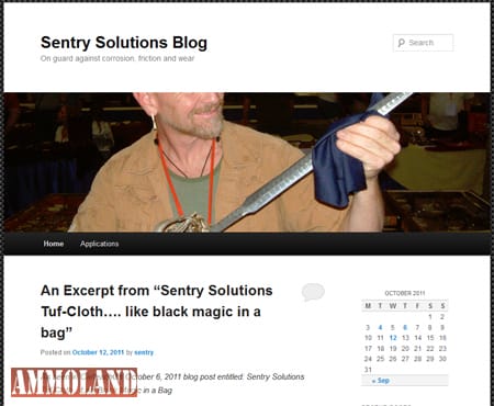 Sentry Solutions Company Blog