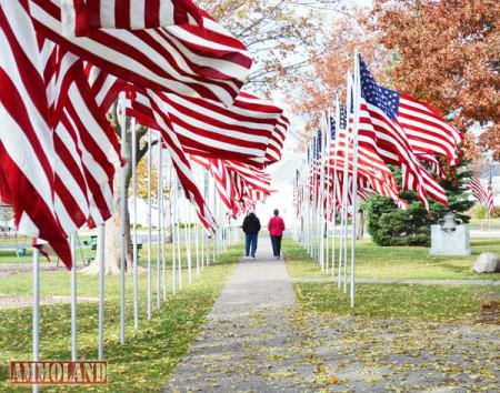 Veterans Day 2011 In Geneseo, Illinois