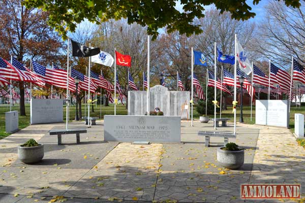 Veterans Day 2011 In Geneseo, Illinois