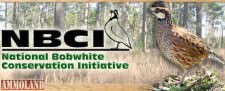 National Bobwhite Conservation Initiative