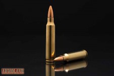 HPR .223 Remington Ammo