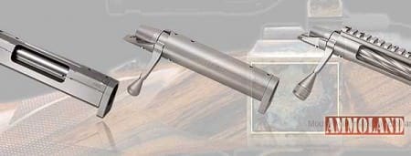 Nesika Bay Precision Bolt Actions Update