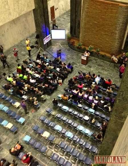 2012 Gun Control Lobby Day