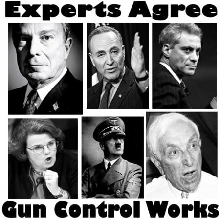 Experts Agree on Gun Control
