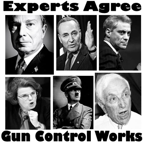 Jewish Experts Agree on Gun Control