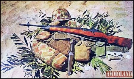 The M14 Rifle