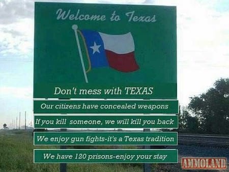 Don't Mess with Texas