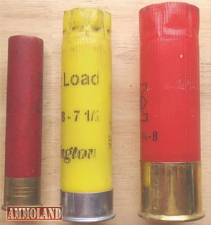 (L to R) 410 Gauge, 20 gauge and 12 gauge shot shell hulls.