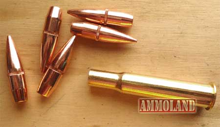 Rifle bullets and 30-40 Krag brass.