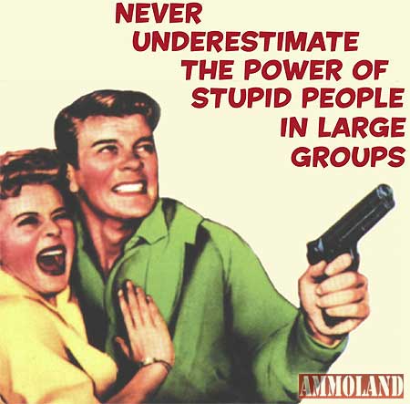 Never Underestimate The Power Of Stupid People In Large Groups