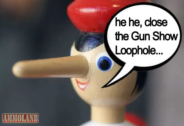 GunShow Loophole Lie