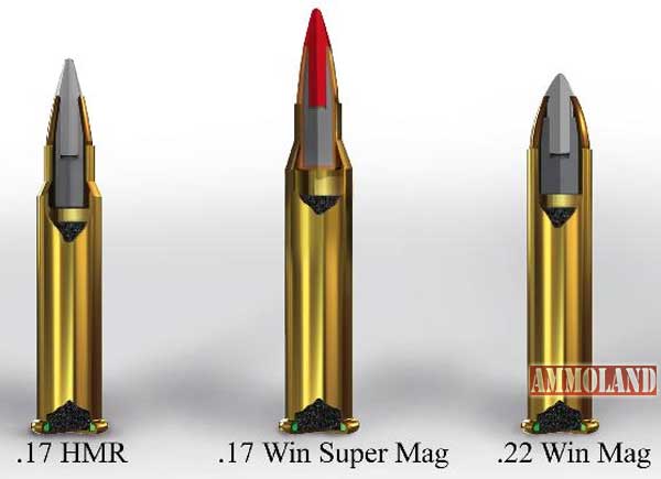 Winchester .17 Winchester Super Magnum Cartridge