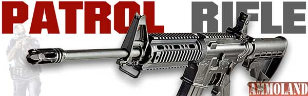 DoubleStar Patriot AR Rifle