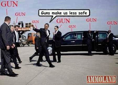 Guns Make us Less Safe