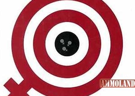 Firearms Feminism
