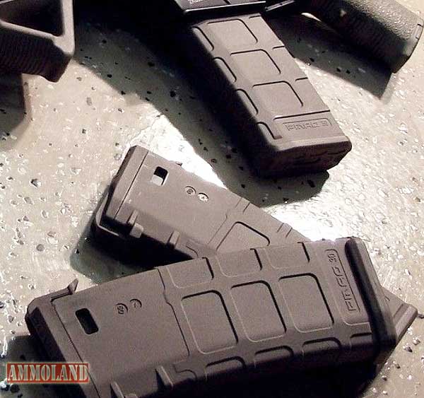 standard-capacity ammunition magazines